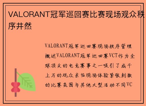 VALORANT冠军巡回赛比赛现场观众秩序井然